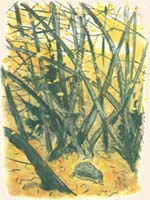Рис. Г.Никольского к рассказу И.Соколова-Микитова «Ёж»