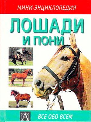 Дебора Гилл. Лошади и пони
