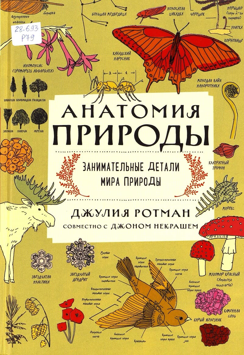 Ротман Д. Анатомия природы : занимательные детали мира природы