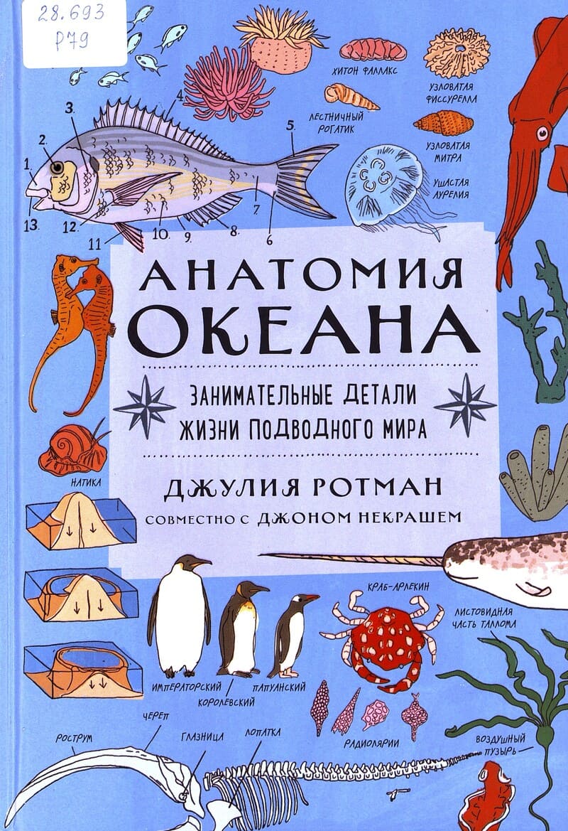 Ротман Д. Анатомия океана : занимательные детали жизни подводного мира