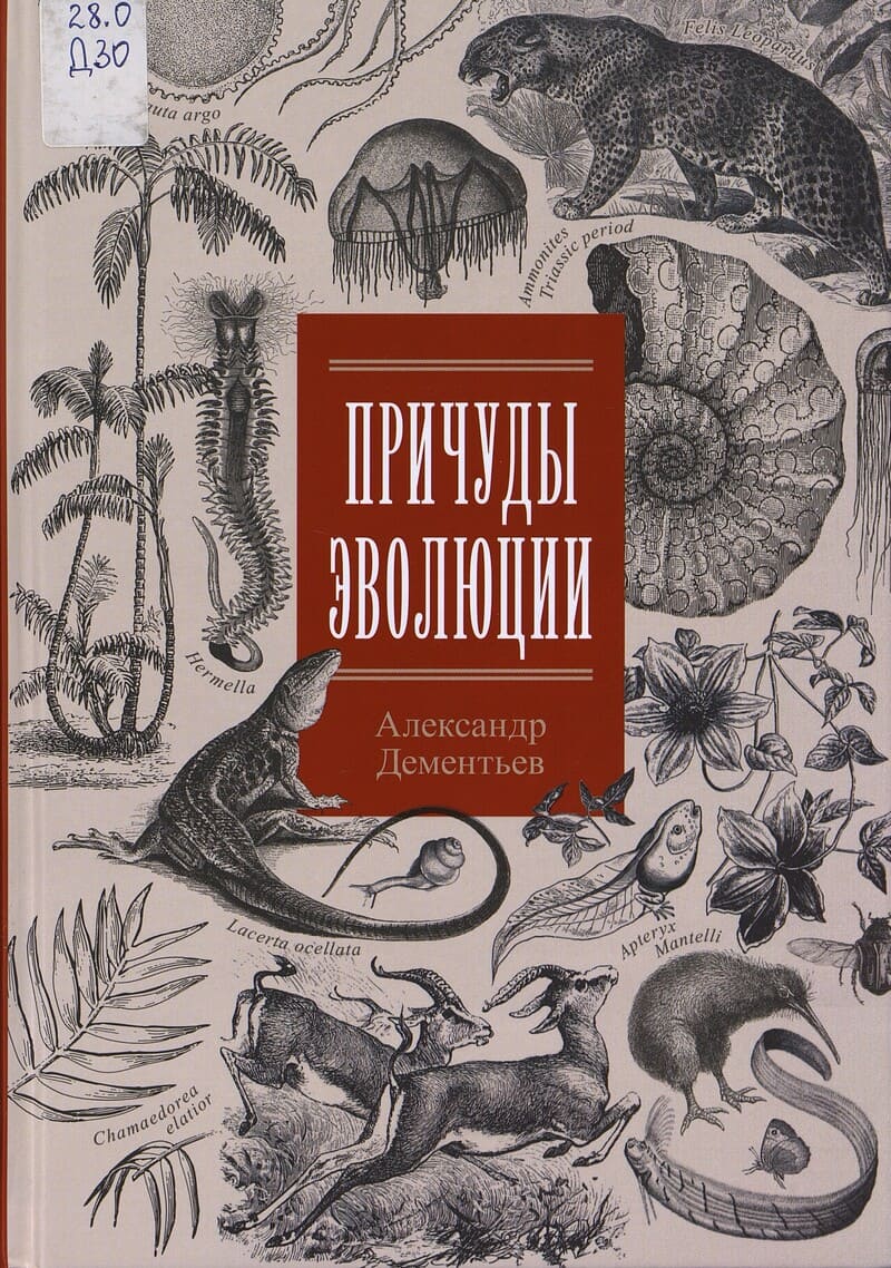 Дементьев А. Причуды эволюции