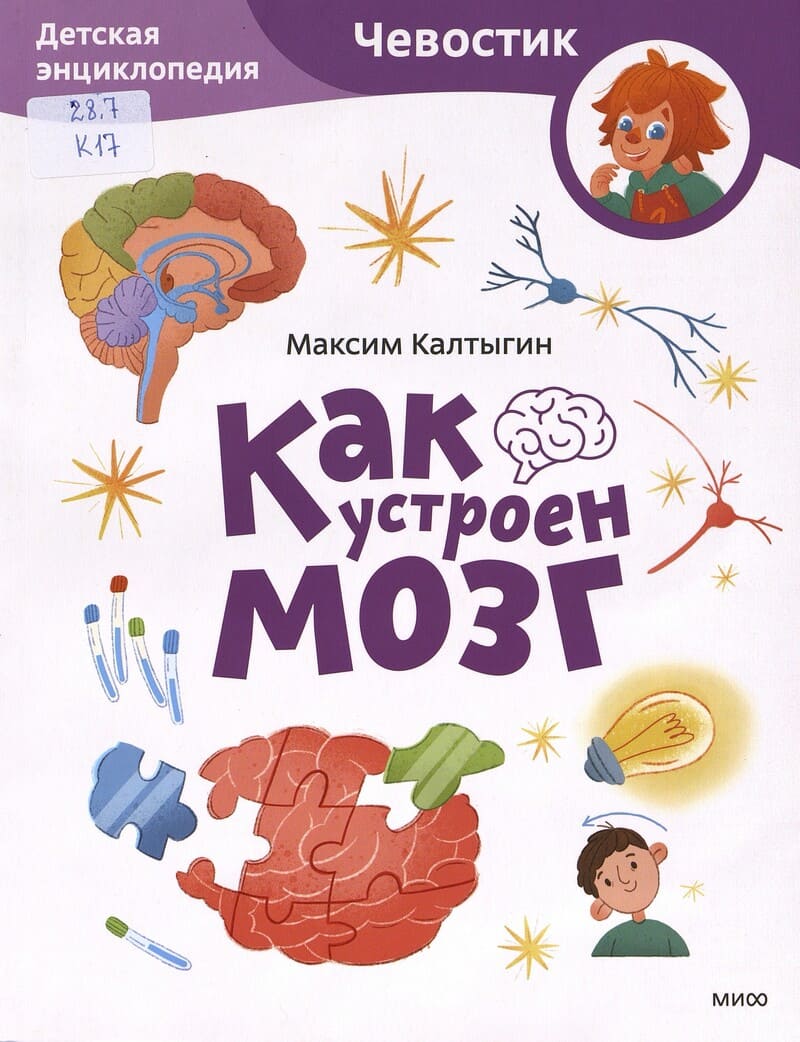 Калтыгин М. Как устроен мозг