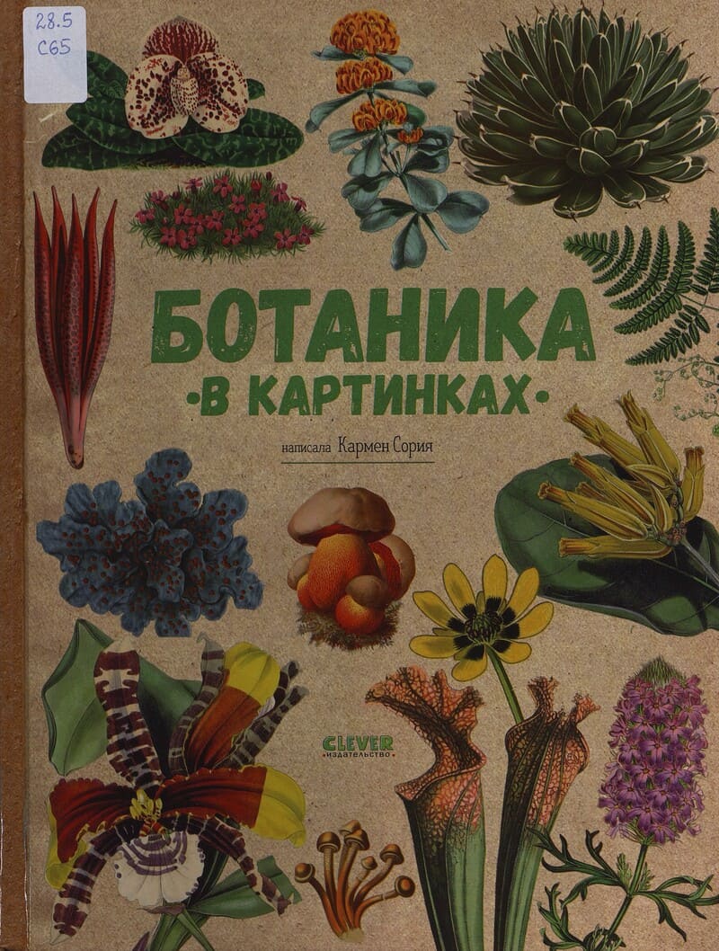 Сория К. Ботаника в картинках