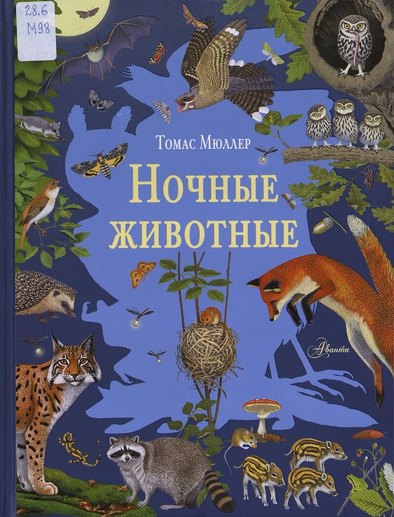 Мюллер Т. Ночные животные