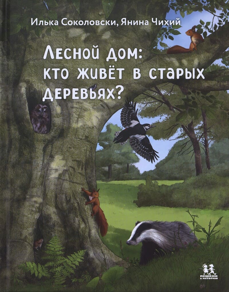 Соколовски И. Лесной дом: кто живет в старых деревьях?