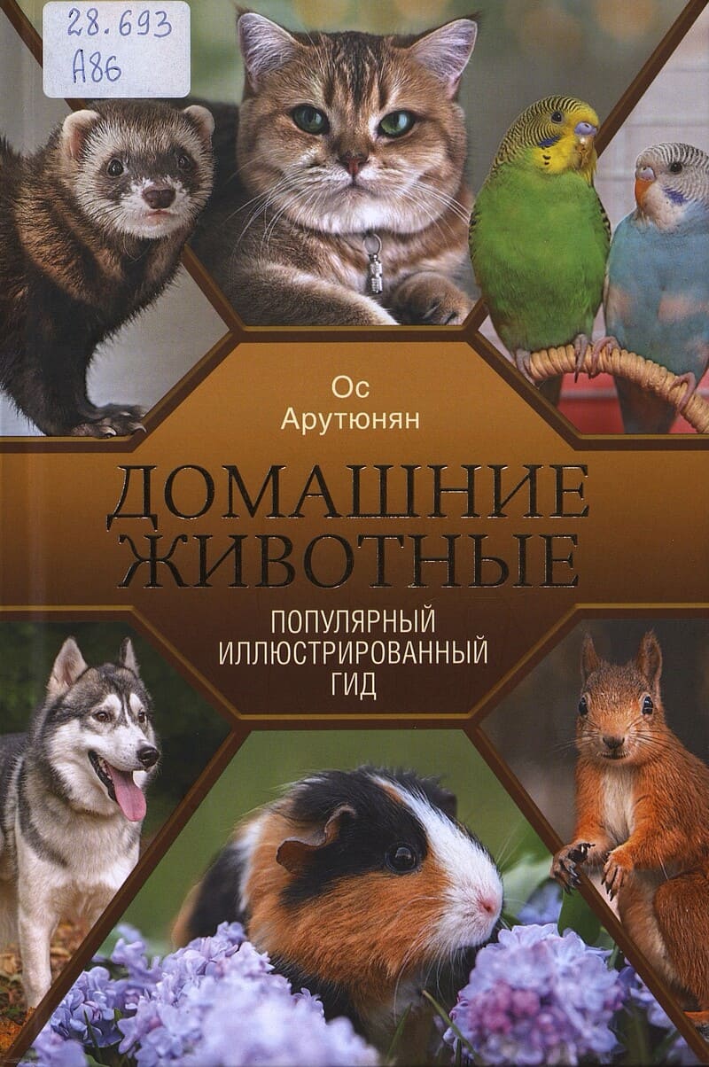 Арутюнян О. Домашние животные 