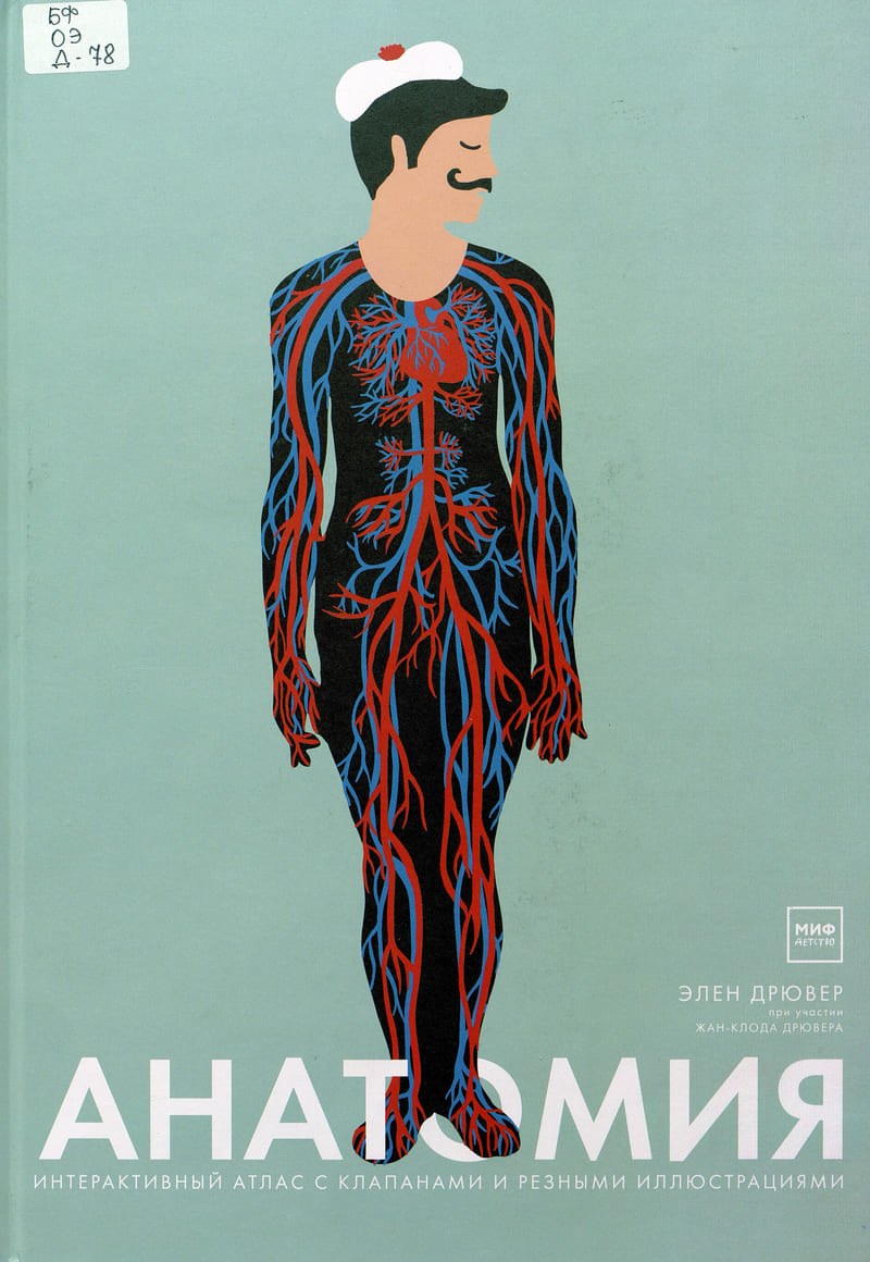 Элен Дрювер, Дрювер Жан-Клод «Анатомия»