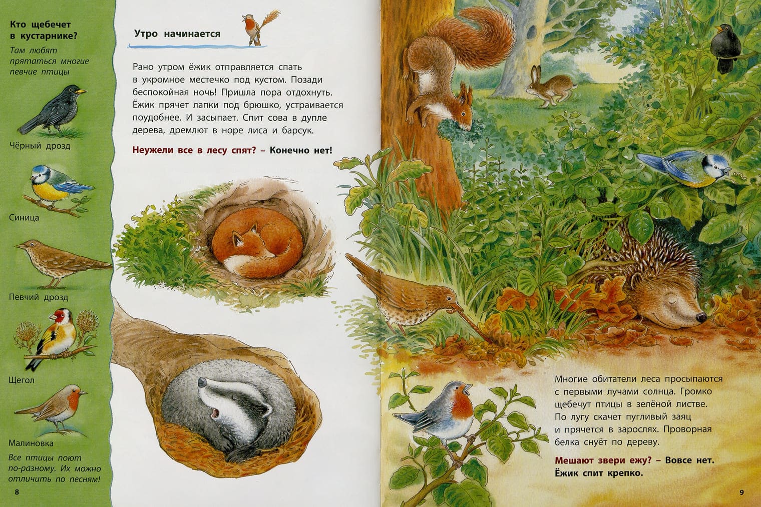 Иллюстратор Ханс-Гюнтер Дёринг Иллюстратор Ханс-Гюнтер Дёринг