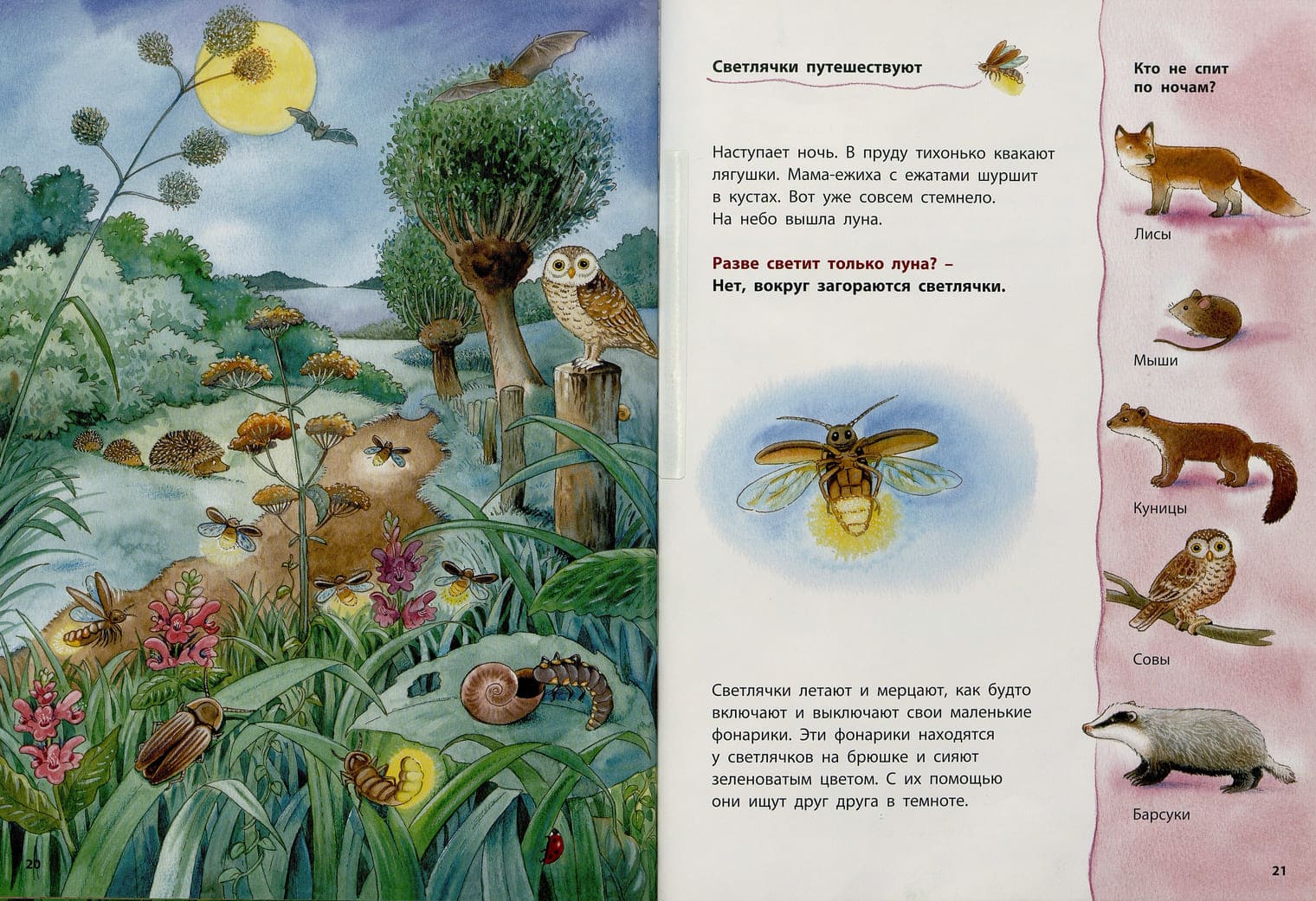 Иллюстратор Ханс-Гюнтер Дёринг Иллюстратор Ханс-Гюнтер Дёринг