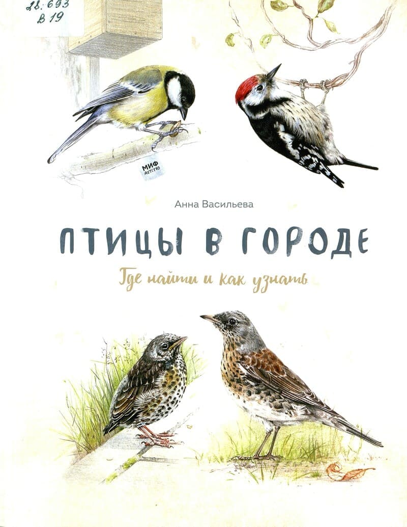 Анна Васильева «Птицы в городе»
