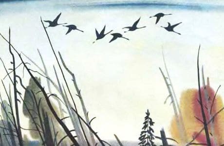 Синие птицы книг: от символа до орнитологии, от анималистики до шаржа