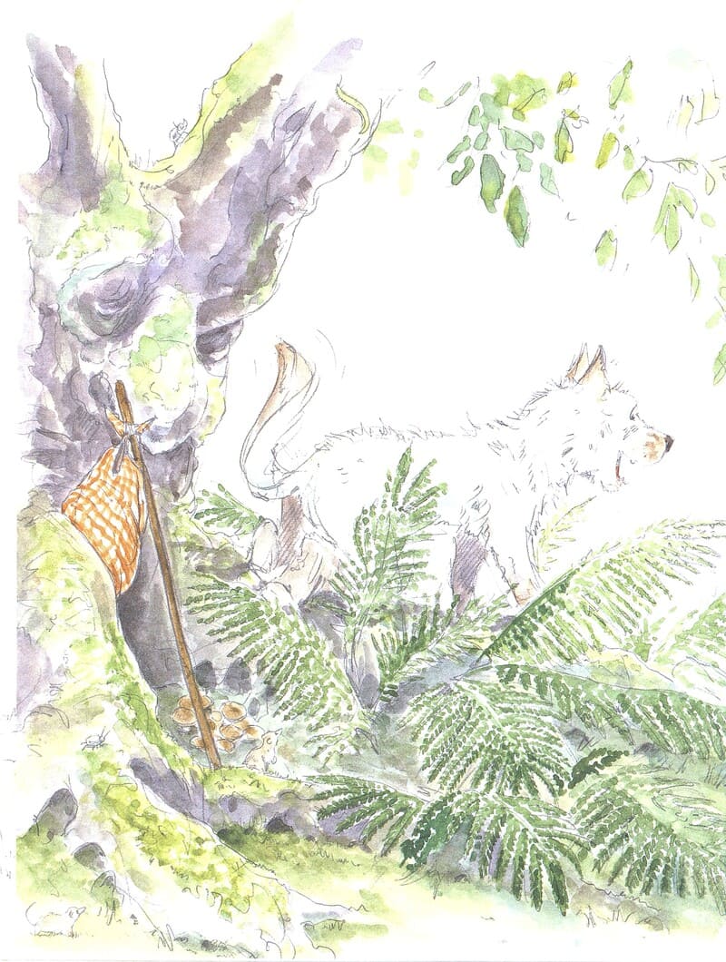 Иллюстрации Себастьяна Мешенмозера