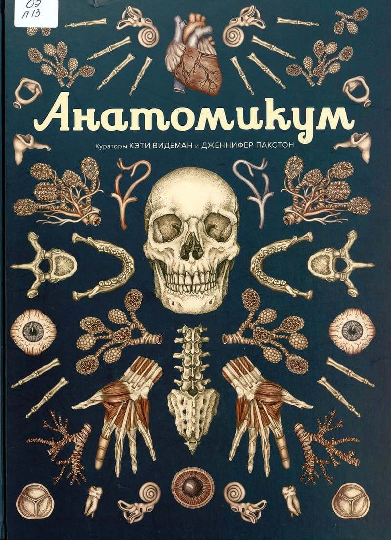 Дженнифер Пакстон «Анатомикум»