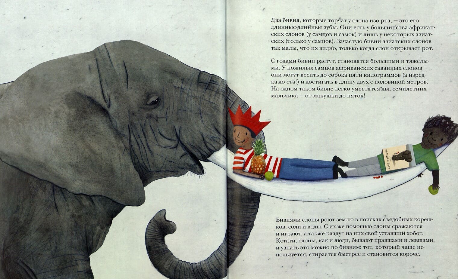 Книги Дженни Десмонд: симбиоз сказки и энциклопедии