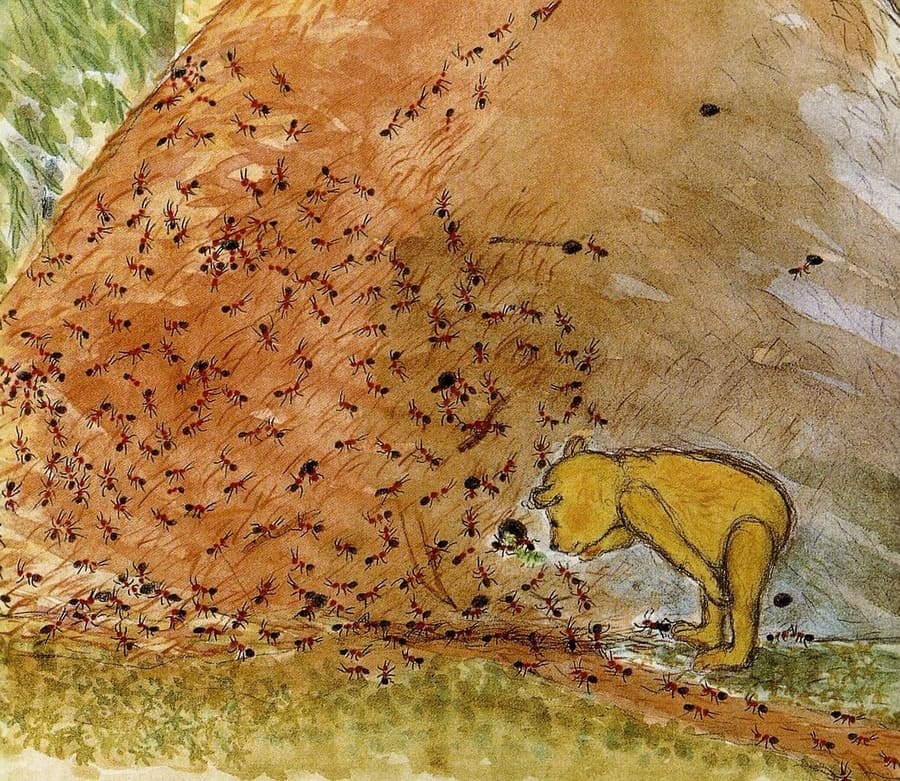 Бруно познает мир