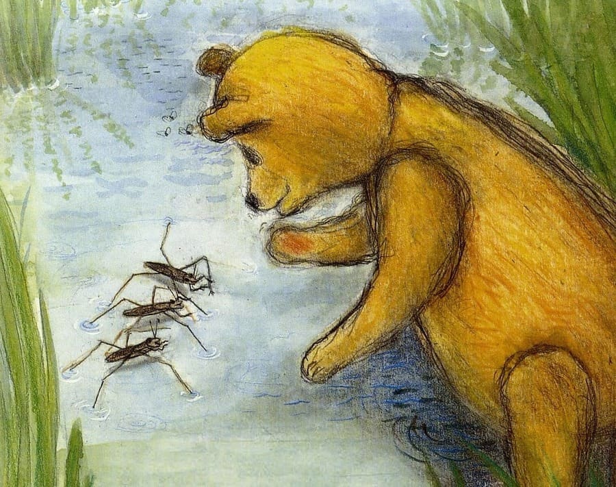 Бруно познает мир