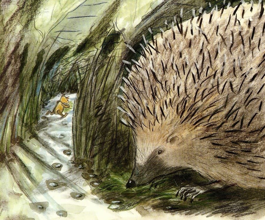 Бруно познает мир