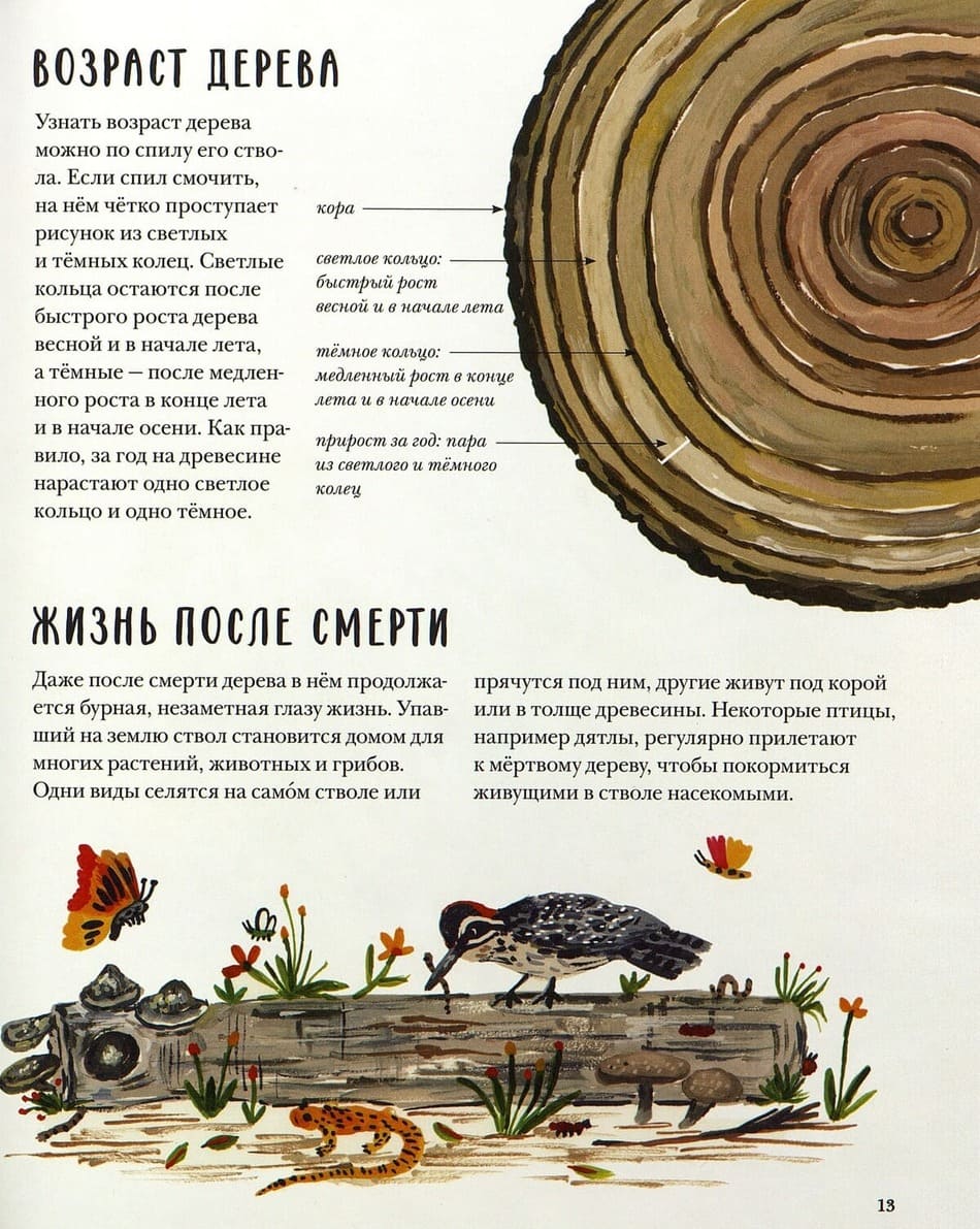 Познавательно. Наглядно. Увлекательно