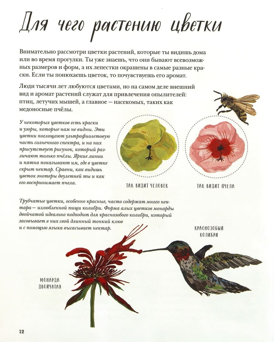 Познавательно. Наглядно. Увлекательно