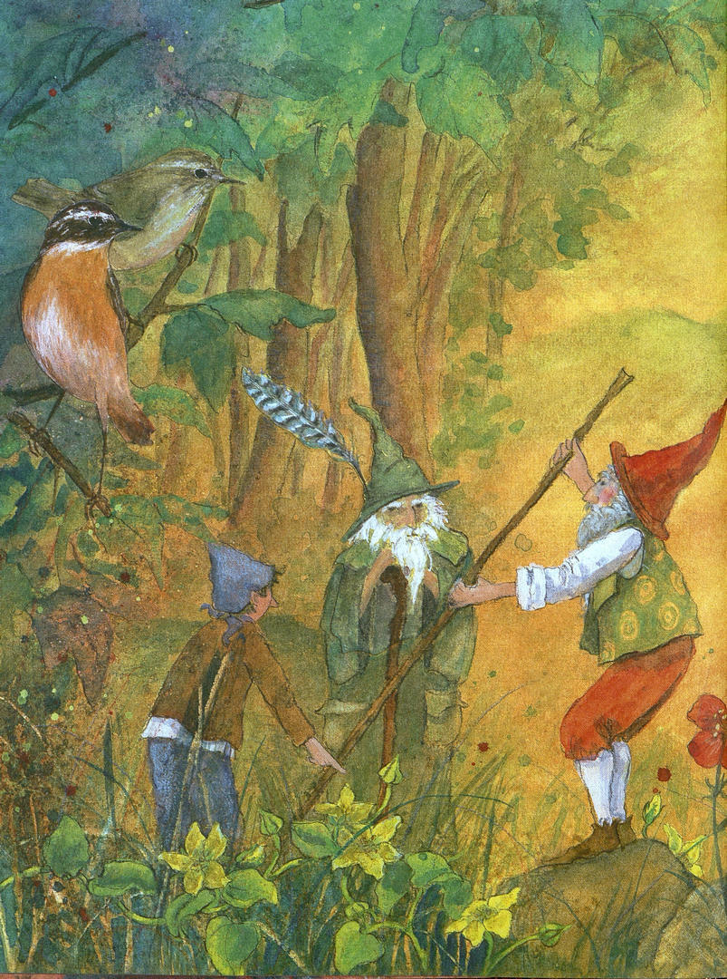 Даниэла Дрешер «Гномы и волшебный лимонад»