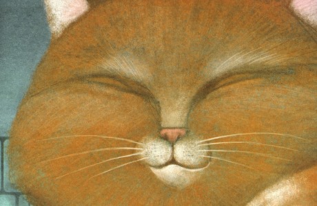 В стихах и прозе о пушистых любимцах