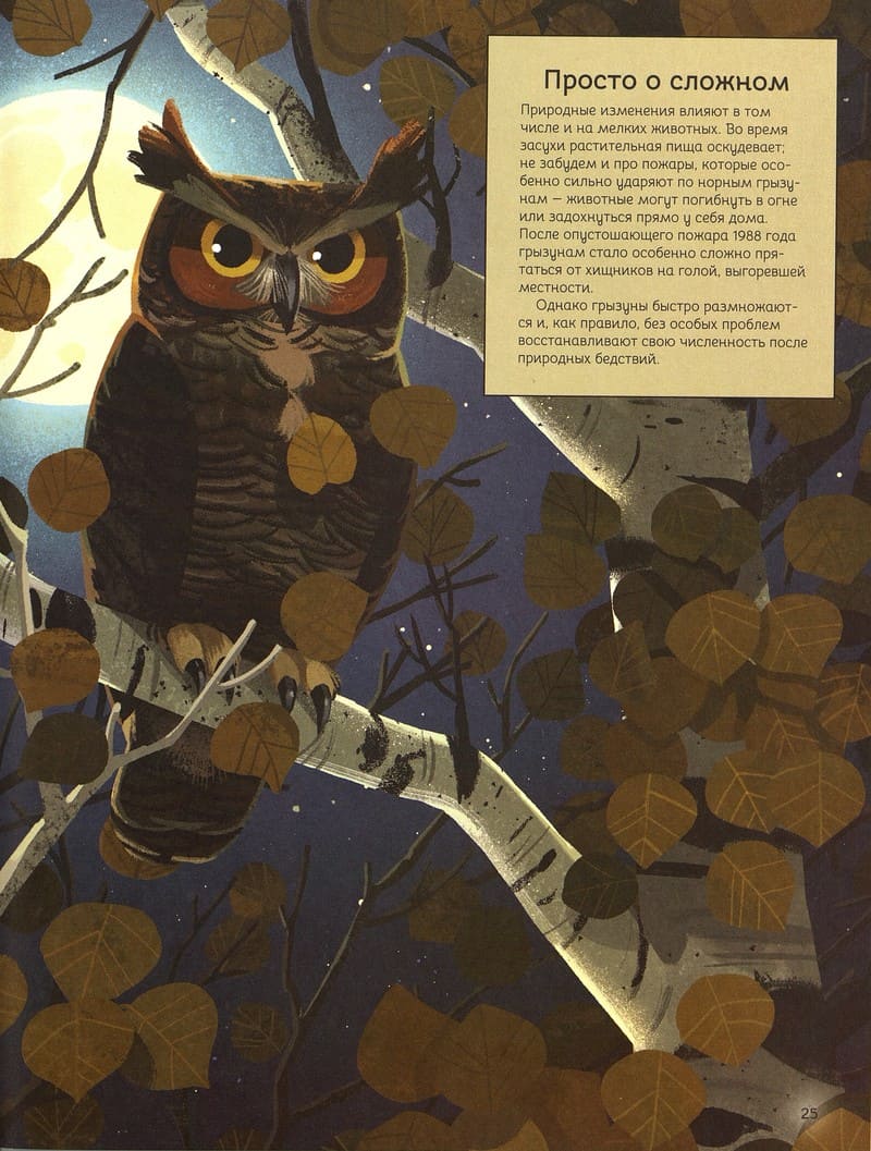 Изабелла Джуд «Вернуть Волков»