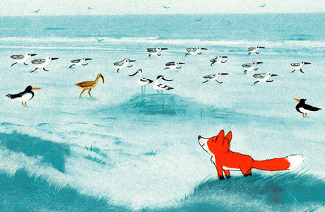 Не только Теллеген: 5 неочевидных книг нидерландских и фламандских авторов для всех возрастов