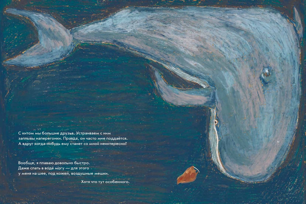 Даша Димитрова «Морж как морж. Ничего особенного»