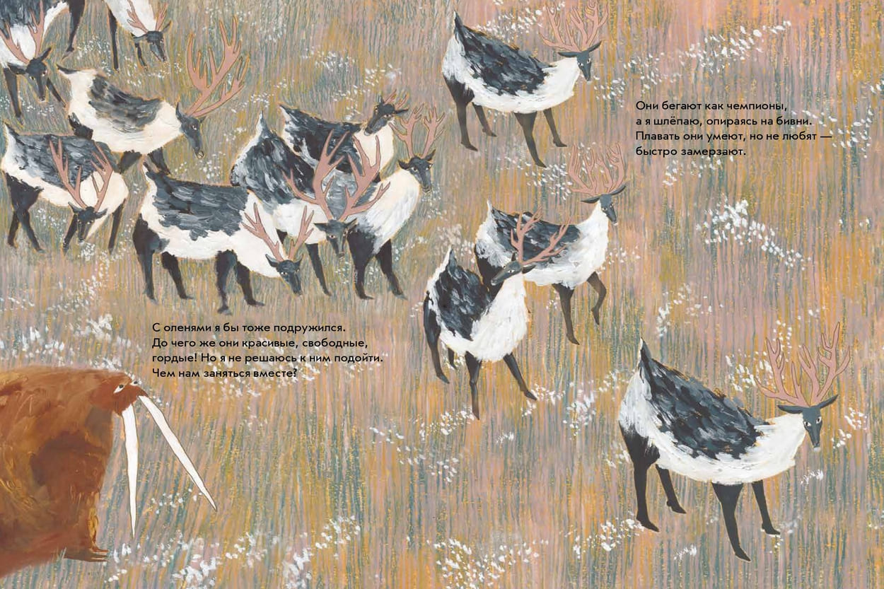 Даша Димитрова «Морж как морж. Ничего особенного»