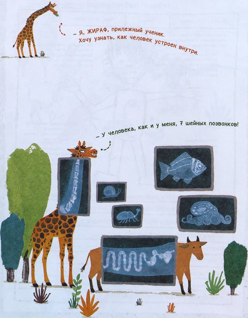 Мун Чжон Хун «Человековедение. Один день в звериной школе»