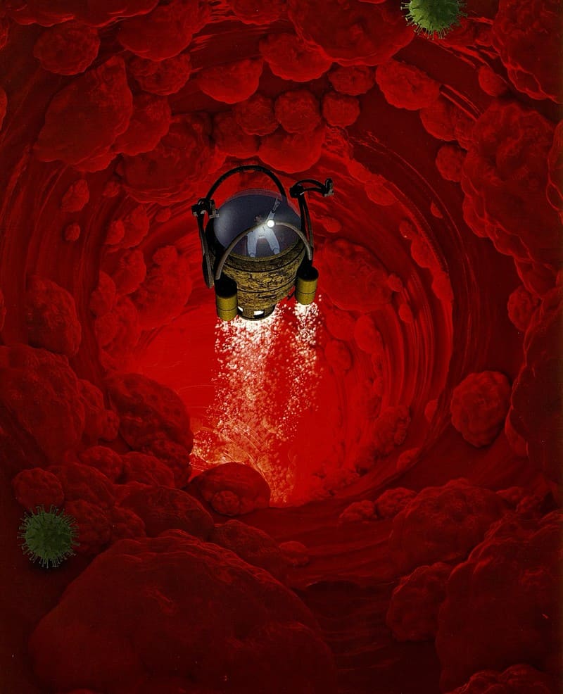 Тон Куне «Охота на вирус»