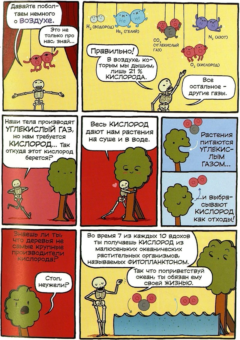 Марис Уикс «Театр человеческого тела»