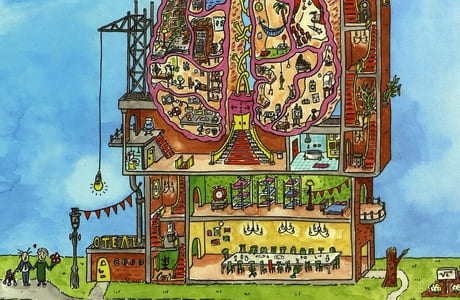 Анатомия для визуалов