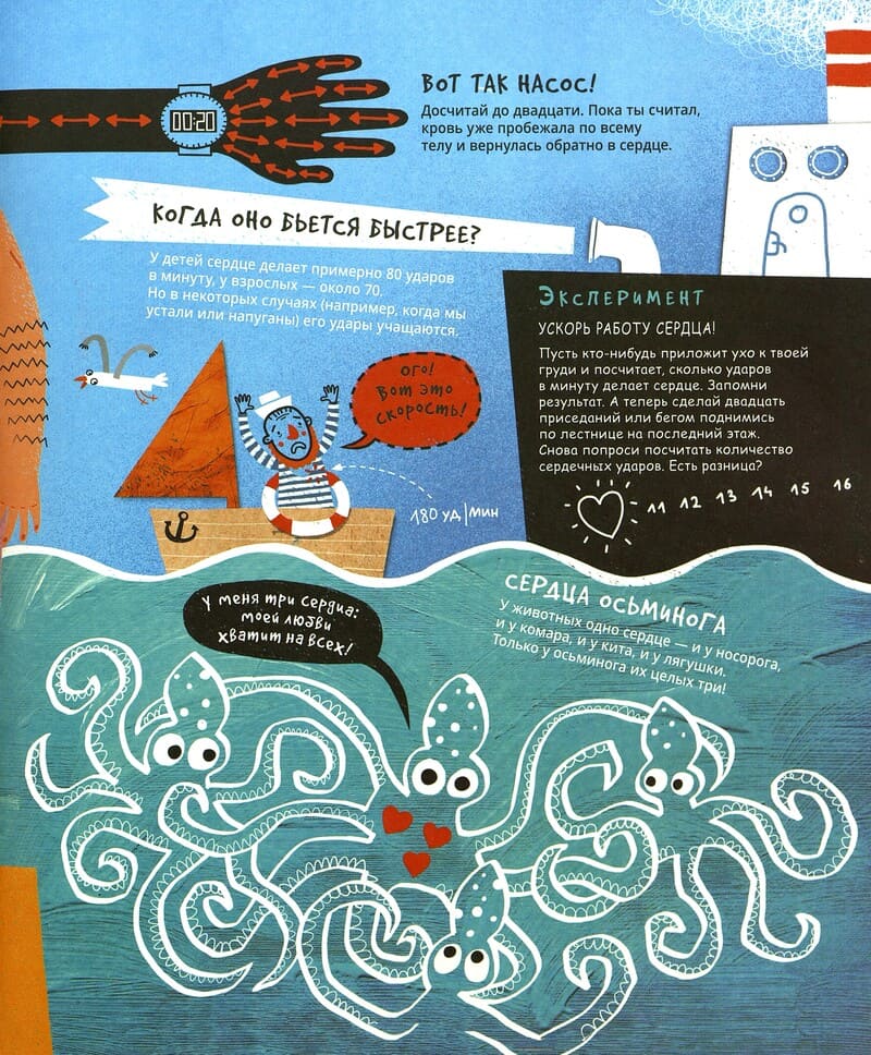 Марта Марущак «Откуда этот звук? Громкие факты о нашем организме»