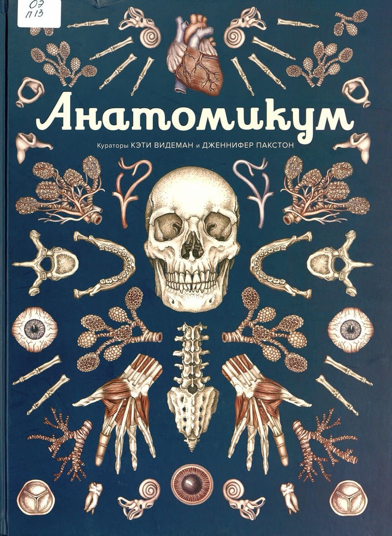 Дженнифер Пакстон и Кэти Видерман «Анатомикум»