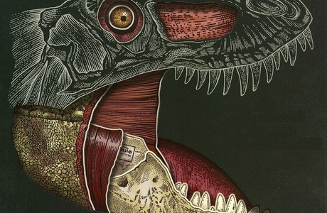 Динозавры на все времена