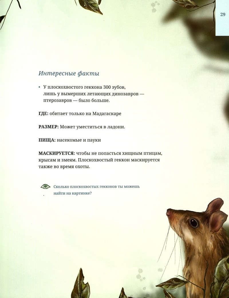 Лина Реншлебротен «Животные-невидимки»