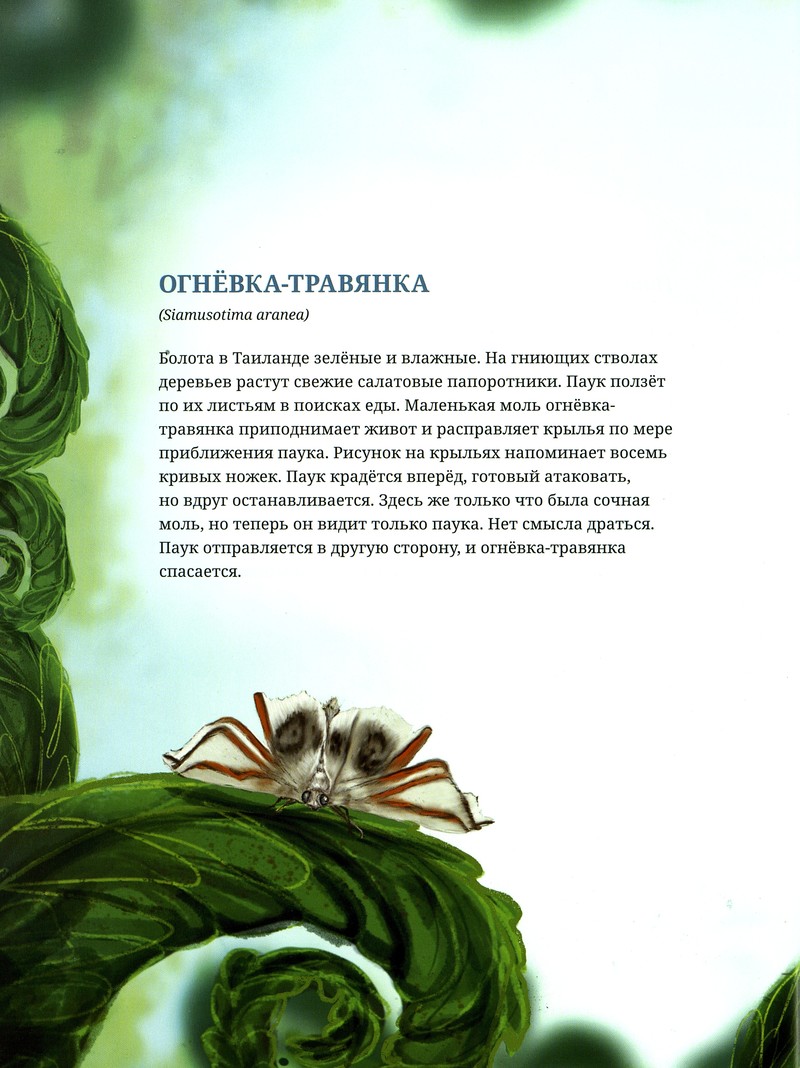 Лина Реншлебротен «Животные-невидимки»