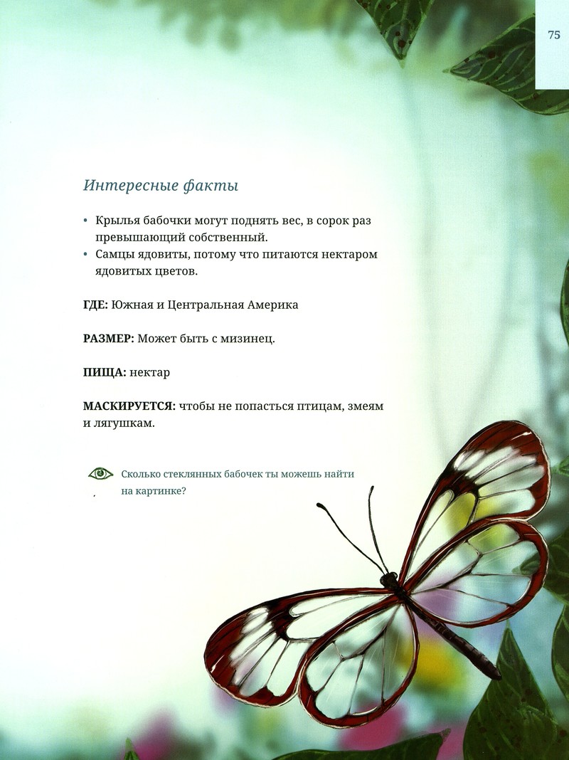 Лина Реншлебротен «Животные-невидимки»
