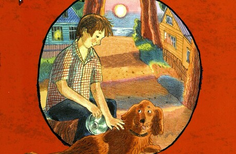 Если в книге есть собака…