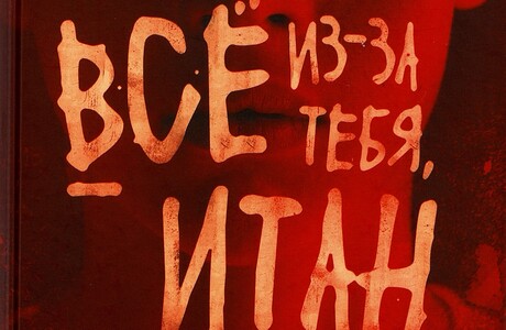 Али Стендиш. Всё из-за тебя, Итан
