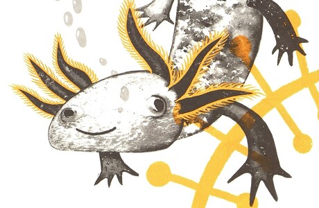 Ольга Посух. Микросупергерои