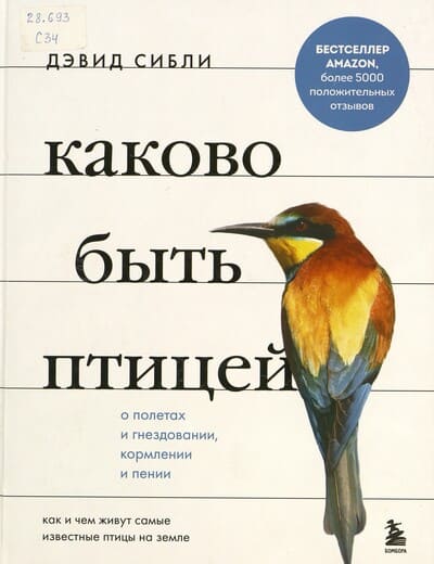 Дэвид Сибли. Каково быть птицей