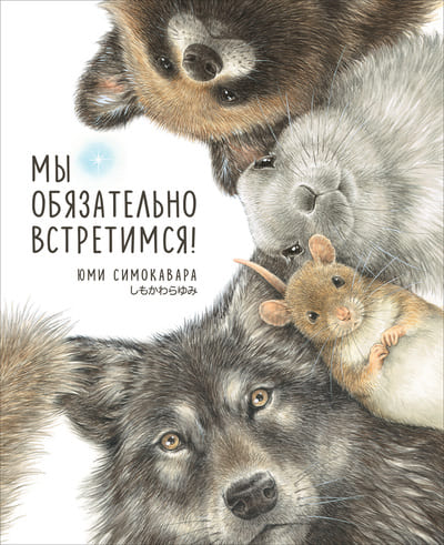 Юми Симокавара. Мы обязательно встретимся!