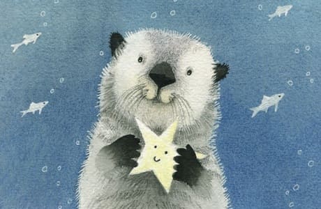 Между космосом и морем: отрывок из книги Ники Свестен «Калан, звезда и кок Калоша»