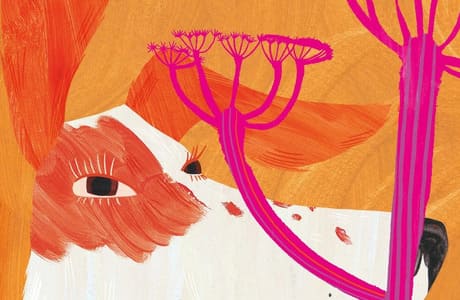 Обрести дом: отрывок из книги Алексея Лукьянова «Собака сутулая, или Несколько дней из жизни Кассиопеи Кирпичниковой»