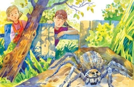 Окунуться в лето: отрывок из книги Юлии Весовой «Анька, выходи!»