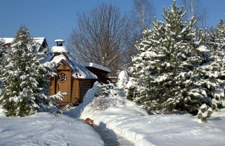 Теплые книжки для зимних дней