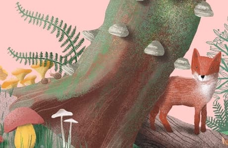 Чудесные соседи: отрывок из книги Джиневры Пикоко и Лоренцо Кокки «Тайны грибов»