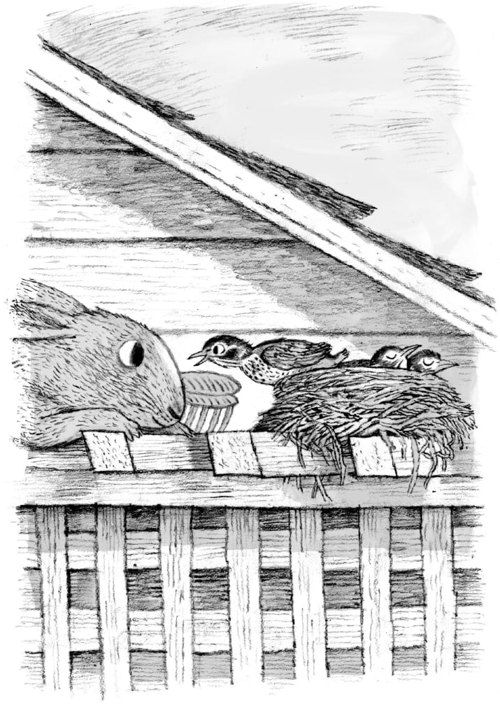 Элейн Димопулос. Необыкновенное спасение на Молочайном лугу Элейн Димопулос. Необыкновенное спасение на Молочайном лугу